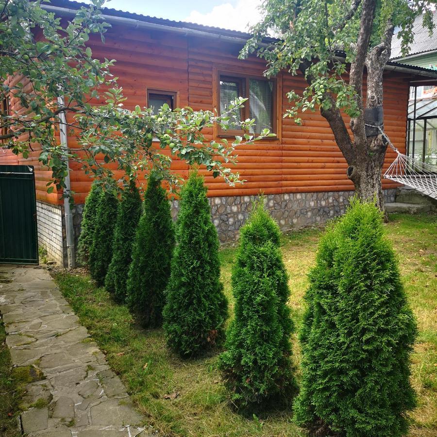 Kotiedzh U Mariny Villa Jaremcse Kültér fotó