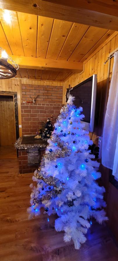 Kotiedzh U Mariny Villa Jaremcse Kültér fotó